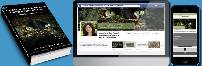 TotalSnap site and Facebook App is an excellent tool for authors!